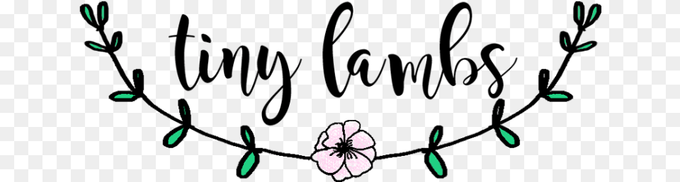 Tiny Lambs Southern Design State Saying Print, Flower, Petal, Plant Png Image