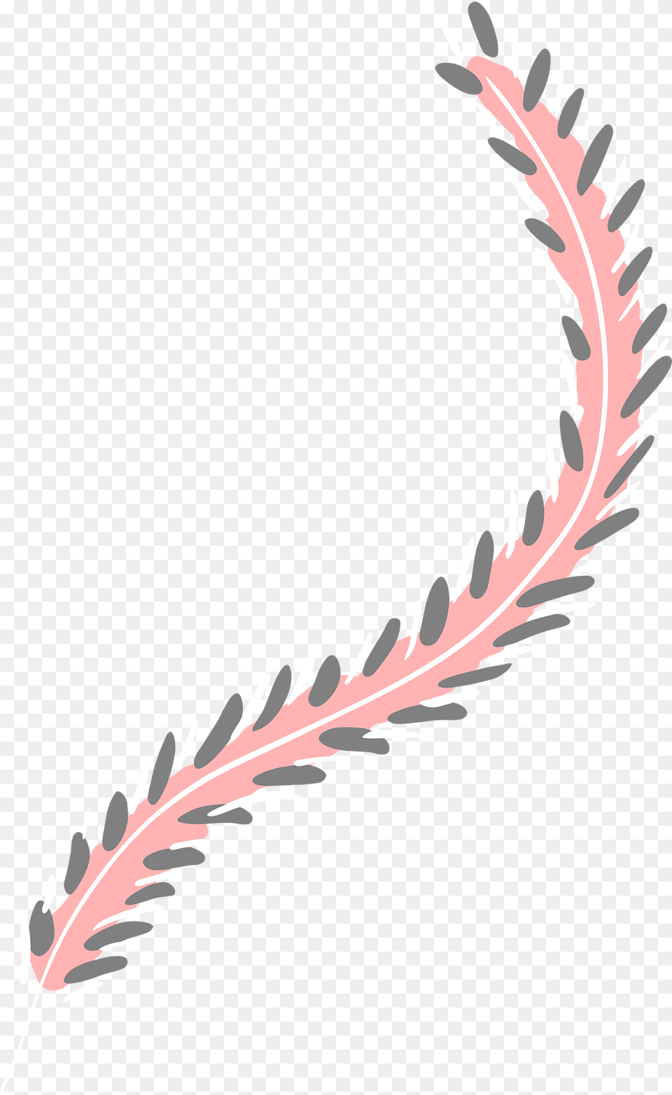Tiny Plumelet Clipart, Grass, Plant, Pattern, Fireworks Png Image