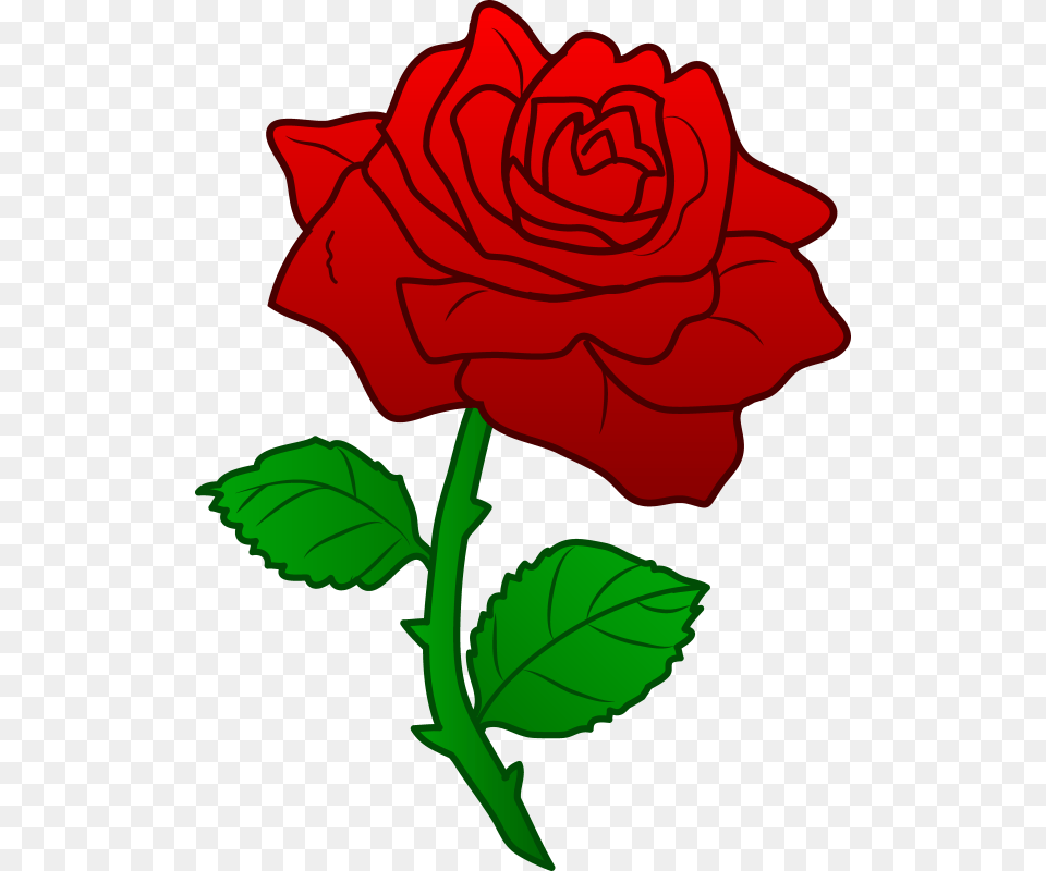 Tiny Rose Transparent Images, Flower, Plant, Dynamite, Weapon Free Png