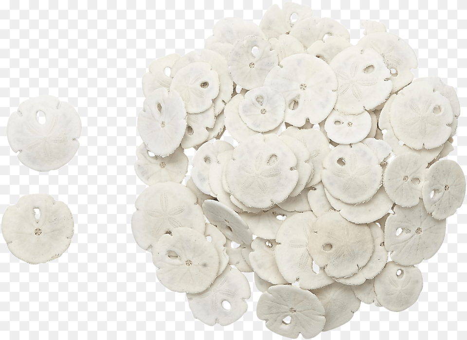 Tiny Round Sand Dollars Artificial Flower, Blade, Cooking, Knife, Sliced Free Png