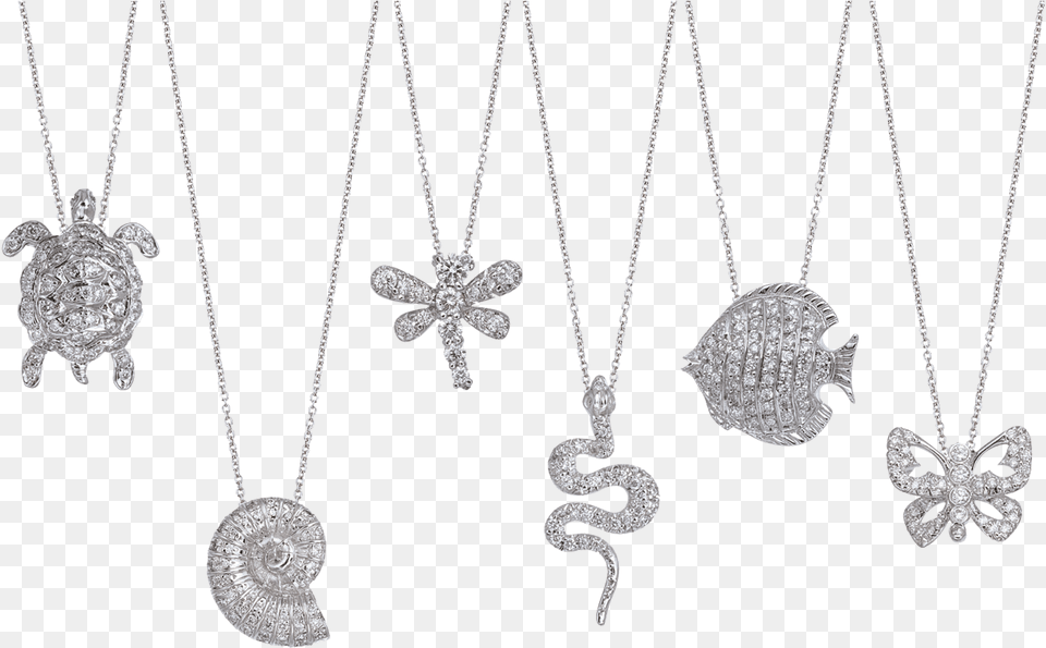 Tiny Treasures Locket, Accessories, Necklace, Jewelry, Gemstone Free Transparent Png