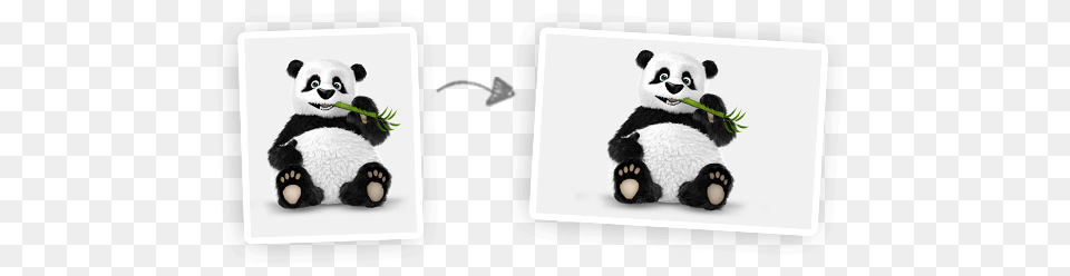 Tinypng Tinypng, Animal, Bear, Giant Panda, Mammal Free Transparent Png