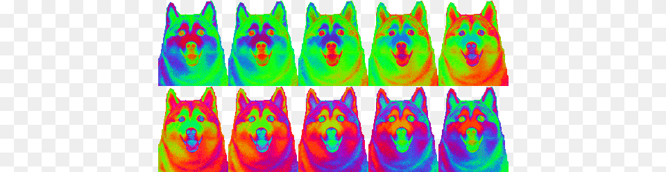 Tip For Optimizing Animated Canvases Save Web As 8 Kunming Wolfdog, Animal, Canine, Dog, Mammal Free Transparent Png