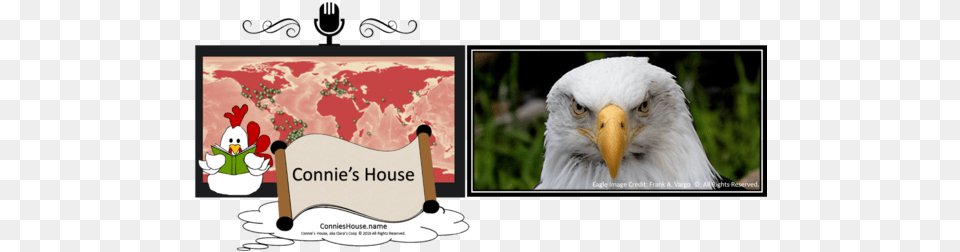 Tip Jar At Connie39s House World Map, Animal, Beak, Bird, Eagle Free Png