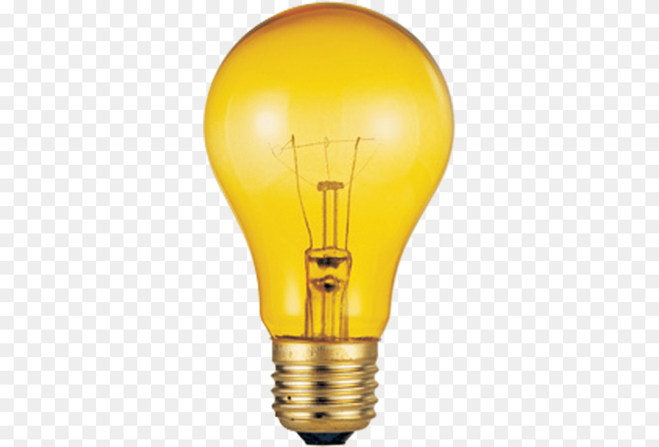 Tipo De Bombillo Incandescent Light Bulb, Lightbulb, Clothing, Hardhat, Helmet Free Png