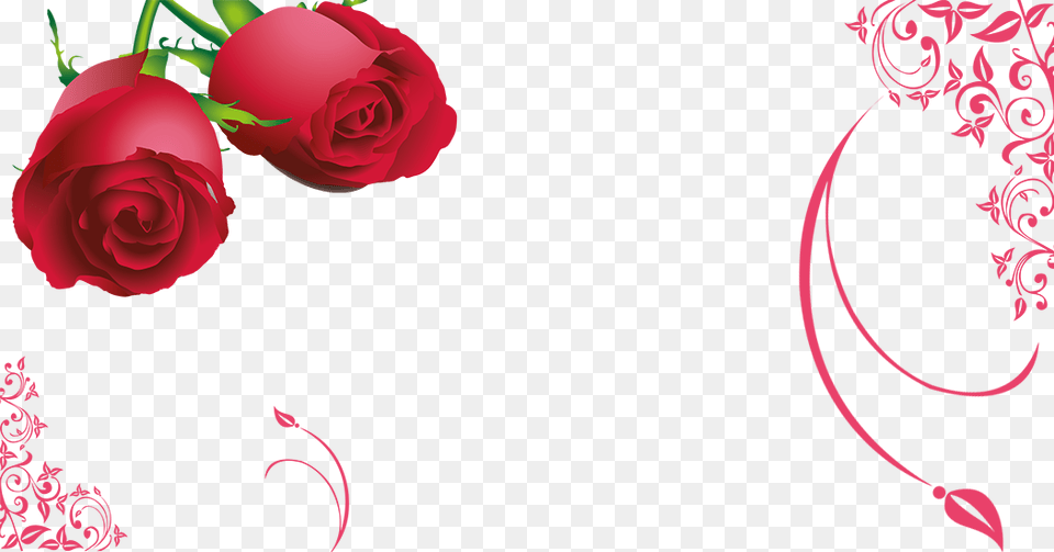 Tips For A Fantastic Wedding, Flower, Plant, Rose Png Image