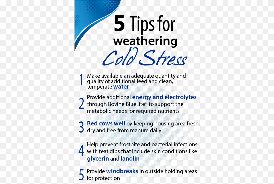 Tips For Dairy Cold Stress Cold Stress In Dairy Cows, Advertisement, Poster, Blackboard, Text Free Png Download