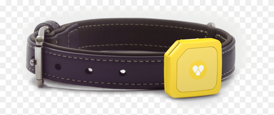 Tips On Where To Buy The Most Reliable Gps Dog Collar Strap, Accessories, Buckle, Belt, American Football Png Image