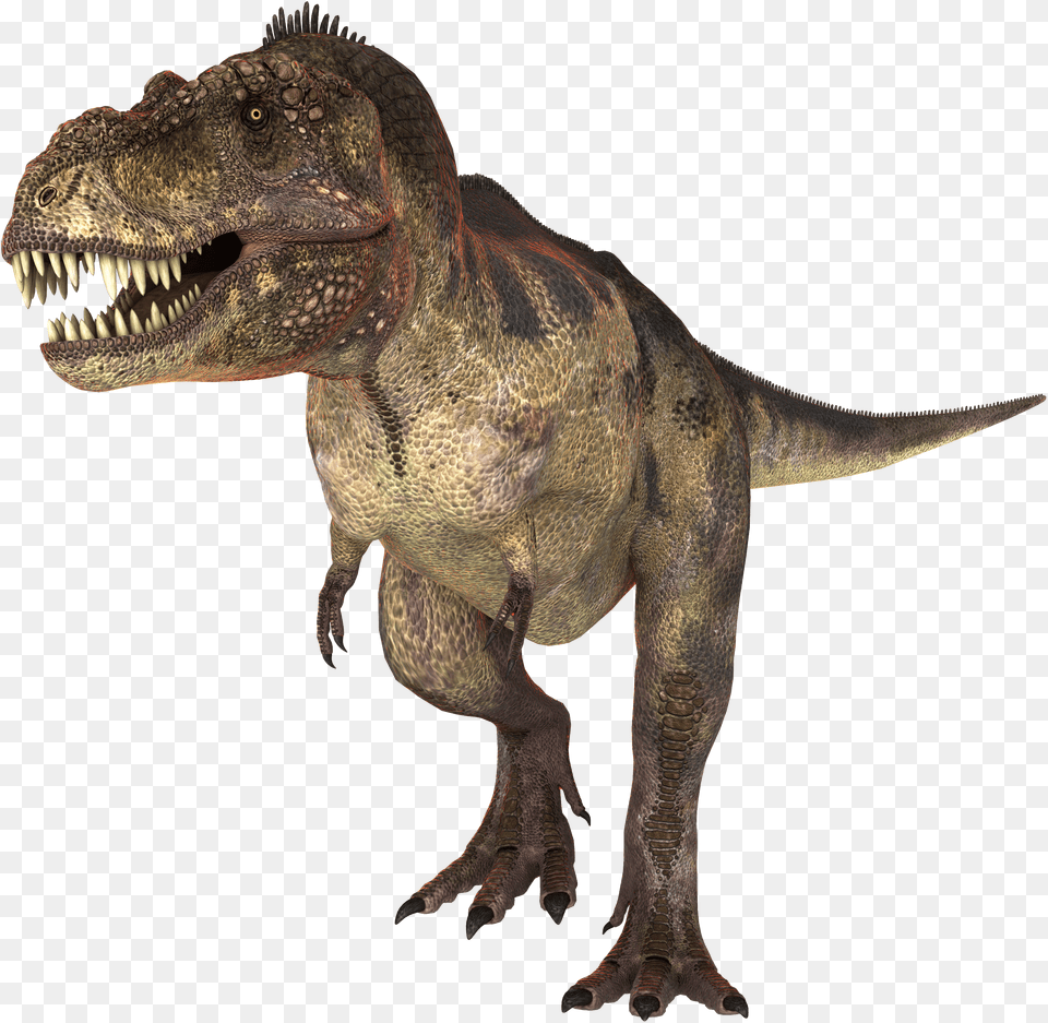 Tiranossauro Rex Sem Fundo Free Png Download