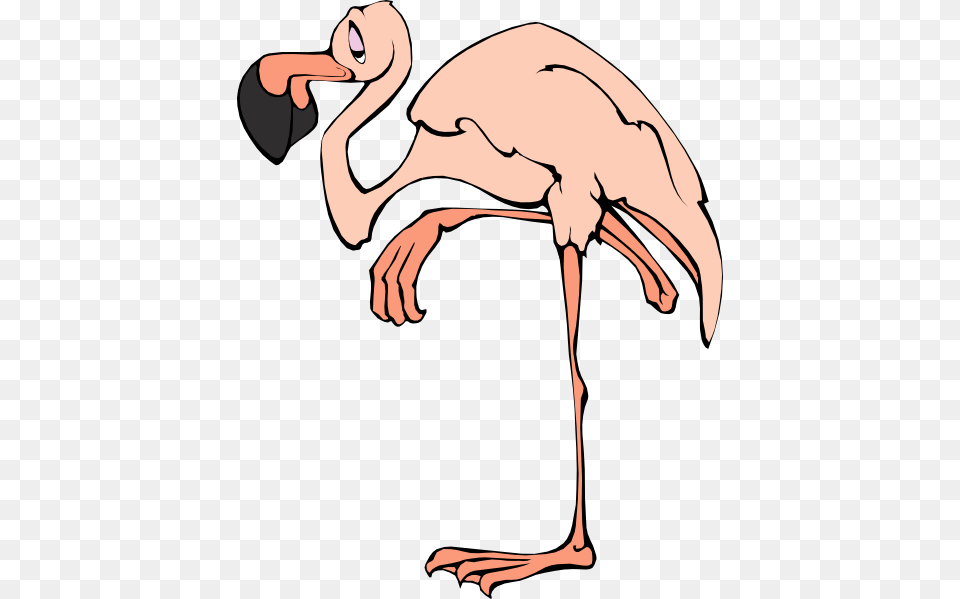 Tired Flamingo Clip Art, Animal, Bird, Kangaroo, Mammal Png Image