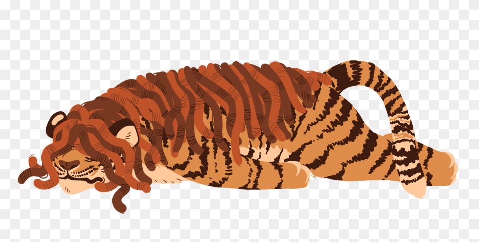Tired Tiger, Animal, Mammal, Wildlife, Zebra Free Transparent Png