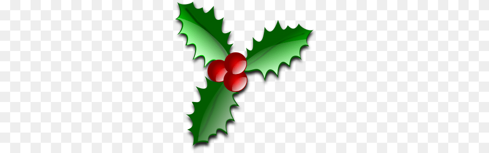 Tis The Season To Be Jolly Deck The Halls With Boughs Of Holly, Leaf, Plant, Food, Fruit Png Image