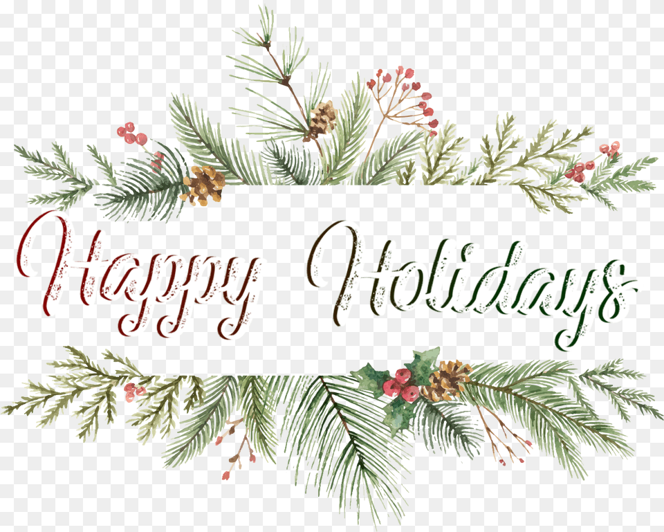 Tis The Season To Be Thankful Christmas, Conifer, Plant, Tree, Yew Png Image