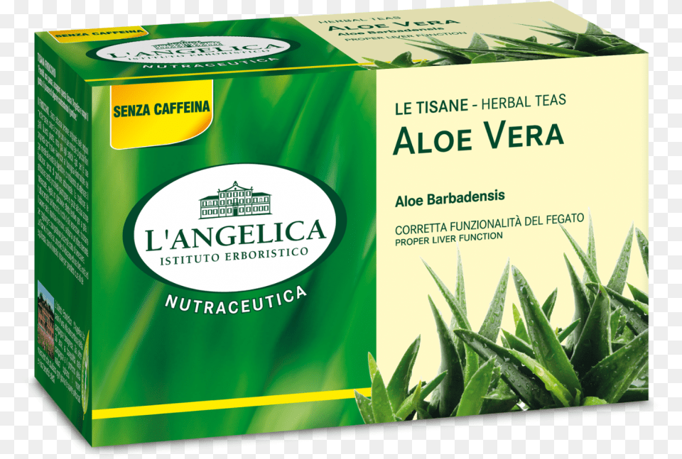 Tisana Caff Verde L Angelica, Herbal, Herbs, Plant, Aloe Free Png