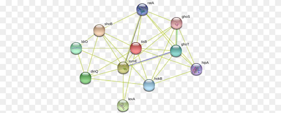 Tisb Protein, Network, Sphere, Nature, Night Free Png