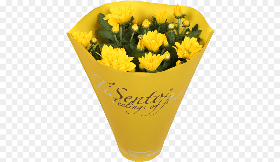 Tisento Never Fails To Surprise With Her Trendy Packaging Chrysanths, Flower, Flower Arrangement, Flower Bouquet, Jar Png
