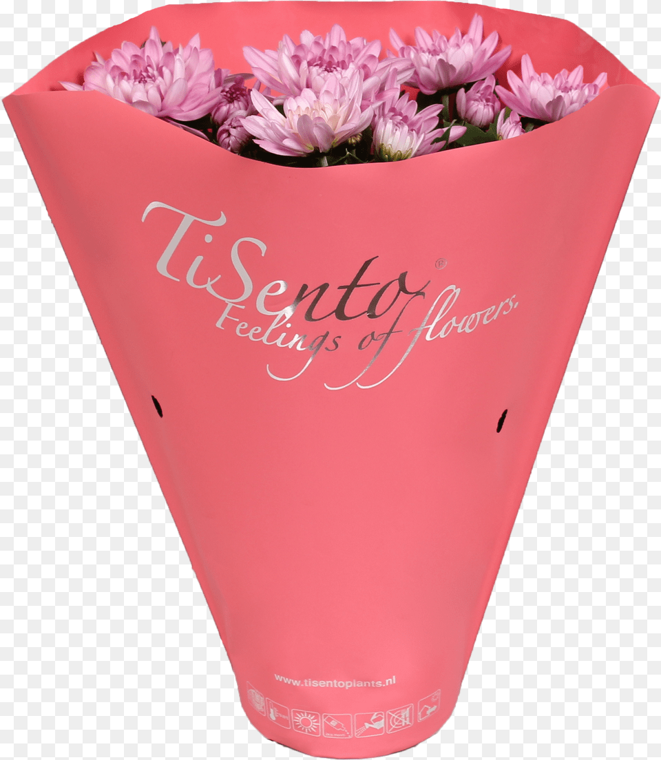 Tisento Never Fails To Surprise With Her Trendy Packaging Real Estate Company, Flower, Pottery, Plant, Petal Free Png