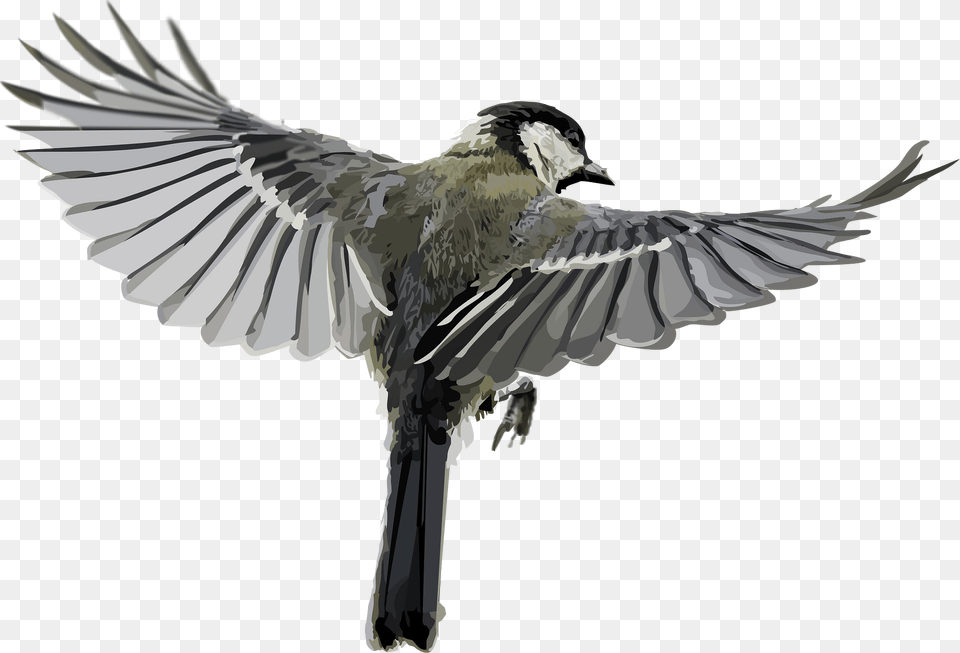 Tit Clipart, Animal, Bird, Flying, Jay Free Transparent Png