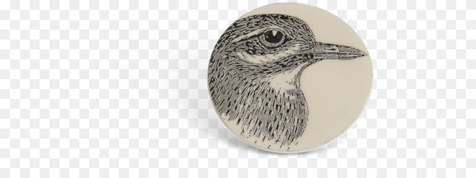 Titanium Ring, Art, Drawing, Animal, Bird Png Image