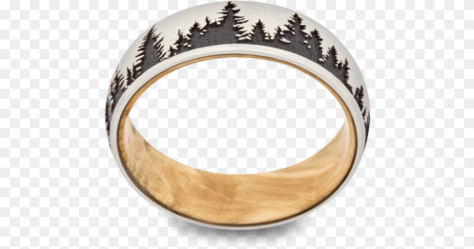 Titanium Ring, Accessories, Jewelry Png