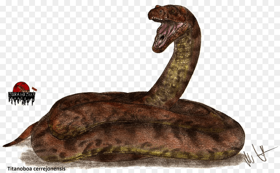 Titanoboa Snake Image Background Titanoboa Jurassic Park, Animal, Reptile, Lizard, Dinosaur Free Transparent Png