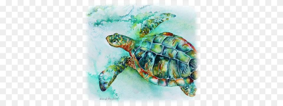 Titusville Sea Turtle Festival Green Sea Turtle Watercolour, Animal, Reptile, Sea Life, Tortoise Free Transparent Png