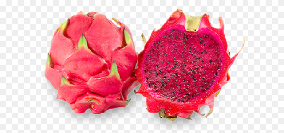Tko A Mix Of Dragon Fruit With Creamy Vanilla That Red Dragon Fruit, Food, Plant, Produce, Flower Png Image