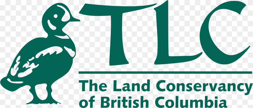 Tlc Logo Land Conservancy Of Bc, Baby, Person, Animal, Bird Free Png Download
