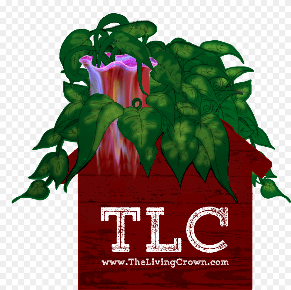 Tlc Logo Logo, Advertisement, Poster, Green, Plant Png