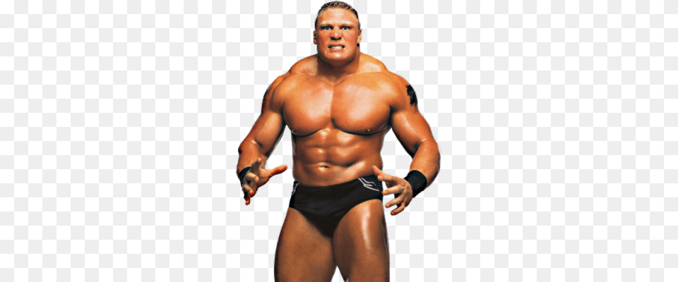 Tna Wrestling Brock Lesnar Wrestling, Adult, Male, Man, Person Free Png Download