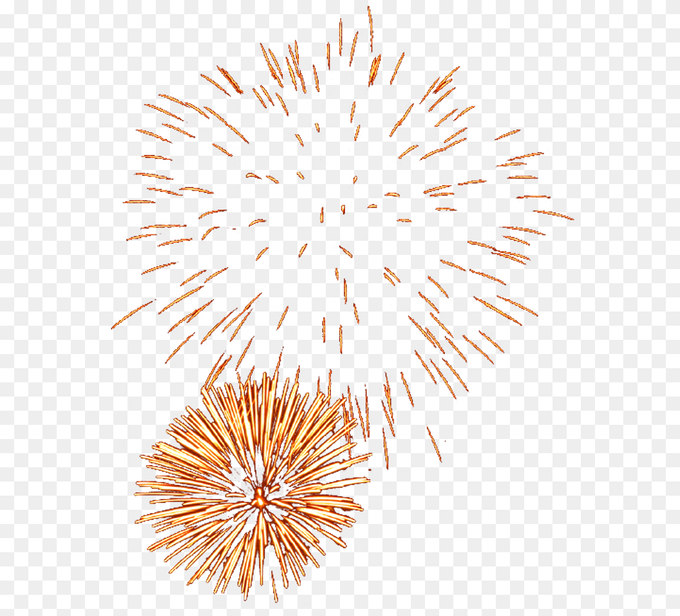 Tnt Fireworks Portable Network Graphics, Plant Free Png Download