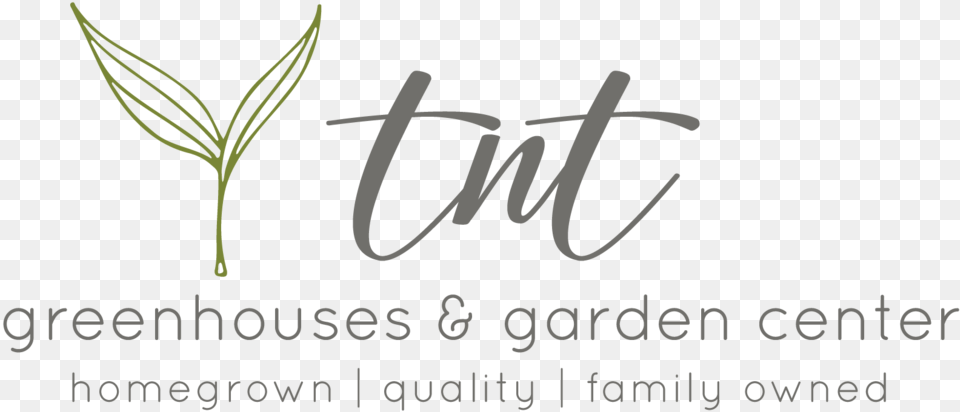 Tnt Main Logo Calligraphy, Herbal, Herbs, Plant, Text Png