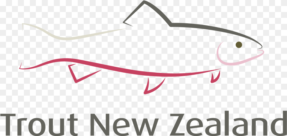 Tnz Web Logo, Animal, Sea Life, Fish, Shark Png