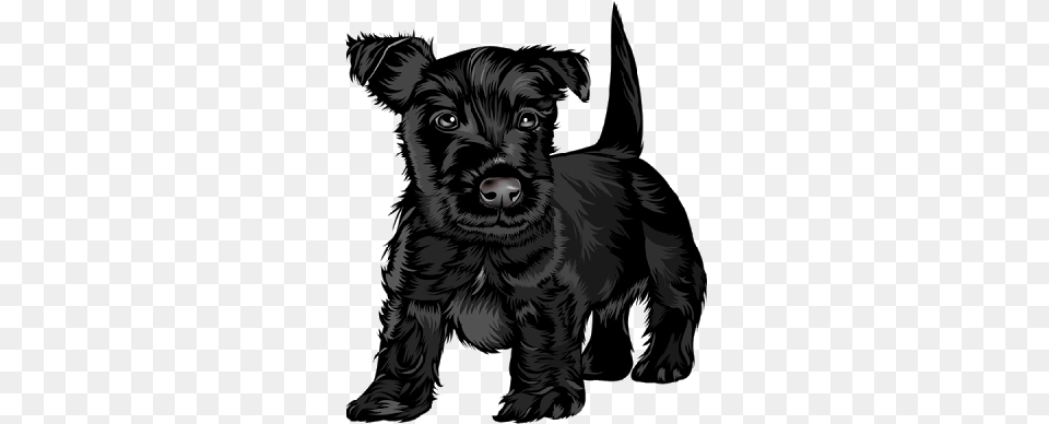 To Copy Cartoon Dog Images On A Background Black Scottish Terrier Dog Pillow, Animal, Canine, Mammal, Pet Png Image