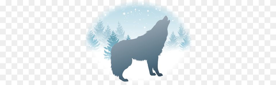 To Donate By Check Make Payable To Quothollywood Huskiesquot Howling Wolf Silhouette, Animal, Mammal, Bear, Wildlife Png Image