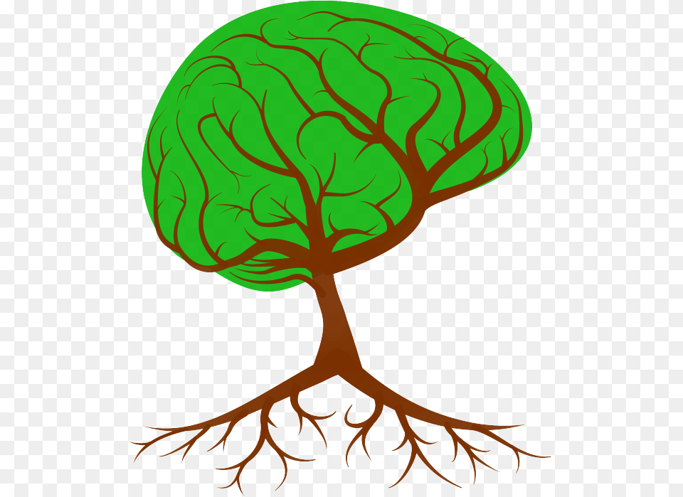 To Flourish As Humans We Need To Pursue The Right Road Brain Tree, Leaf, Plant Free Png Download