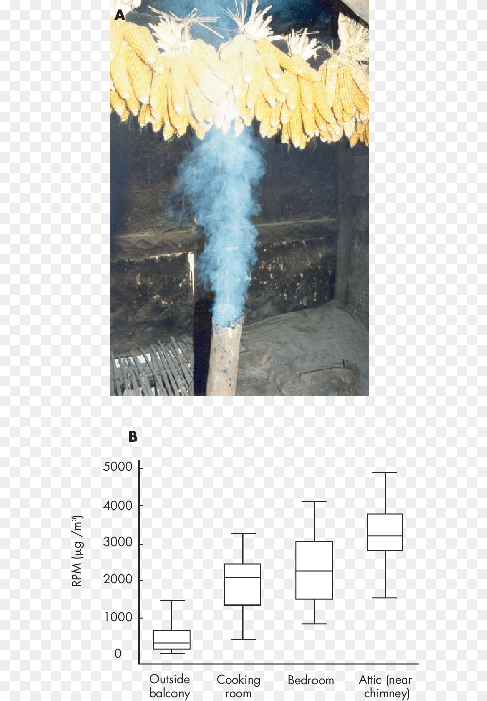 To Fluorine And Arsenic From Stove Use In Southern Soda Straw, Food, Produce, Grain, Corn Free Png