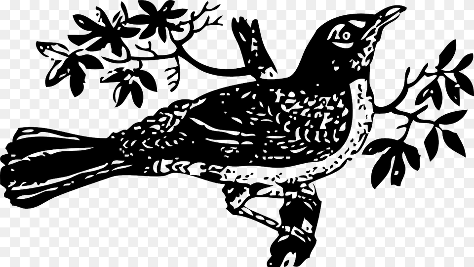To Kill A Mockingbird Clip Art Mockingbird Clipart, Stencil, Animal, Bird, Blackbird Png Image