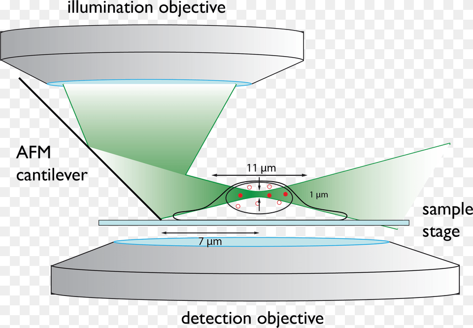 To Reduce Out Of Focus Fluorescence We Developed Reflected Lightsheet Microscopy, Lighting, Electronics, Screen Free Png