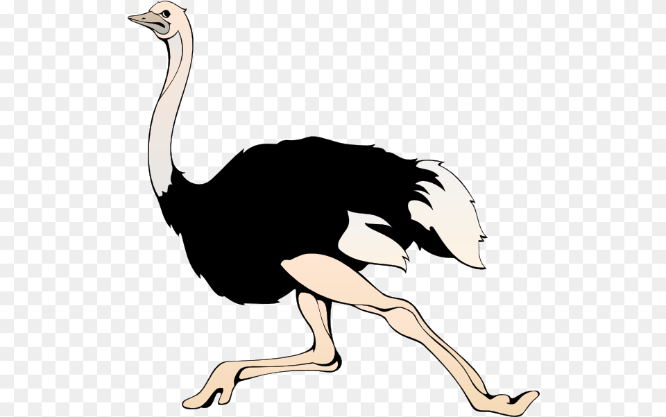 To Share Running Clipart Clipartmonk Clip Ostrich Clipart, Animal, Bird, Penguin, Adult Free Transparent Png