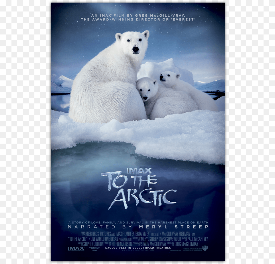 To The Arctic Poster, Animal, Bear, Mammal, Wildlife Free Transparent Png