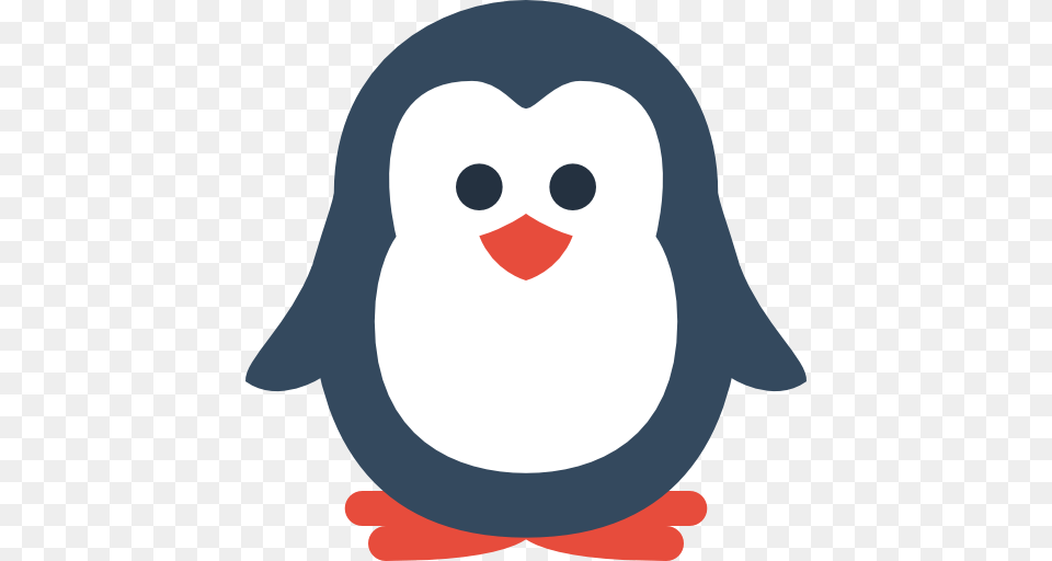To Use, Animal, Bird, Penguin, Nature Png