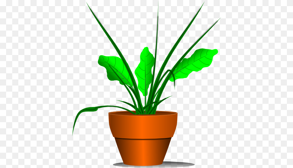 To Use, Leaf, Plant, Potted Plant, Flower Free Png Download