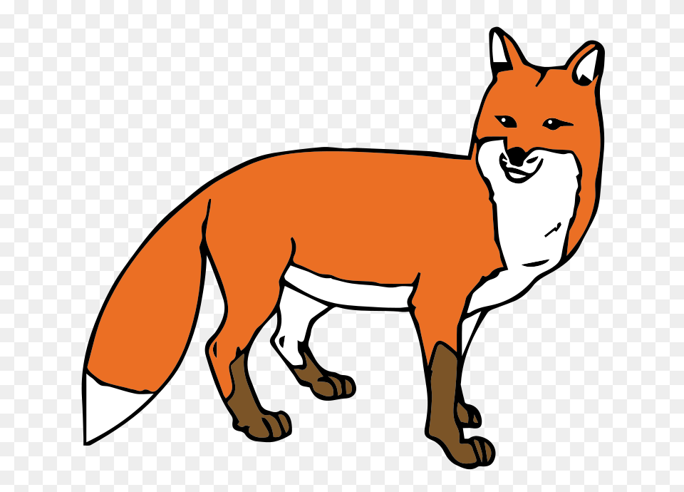 To Use, Animal, Canine, Fox, Mammal Free Png