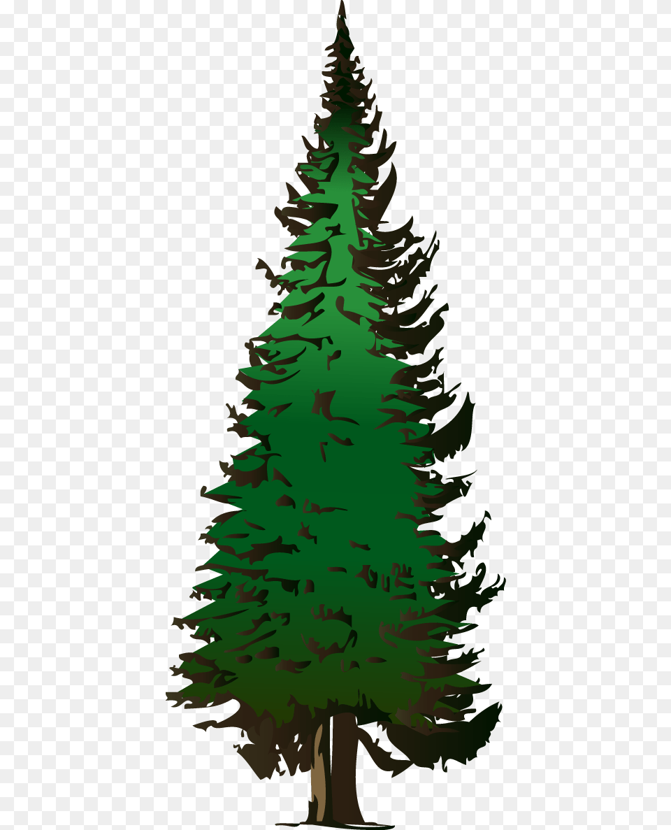 To Use, Fir, Plant, Tree, Pine Free Png