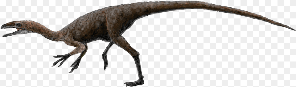 To Use Amp Public Domain Dinosaur Clip Art Coelurosaurs, Animal, Reptile, T-rex Png