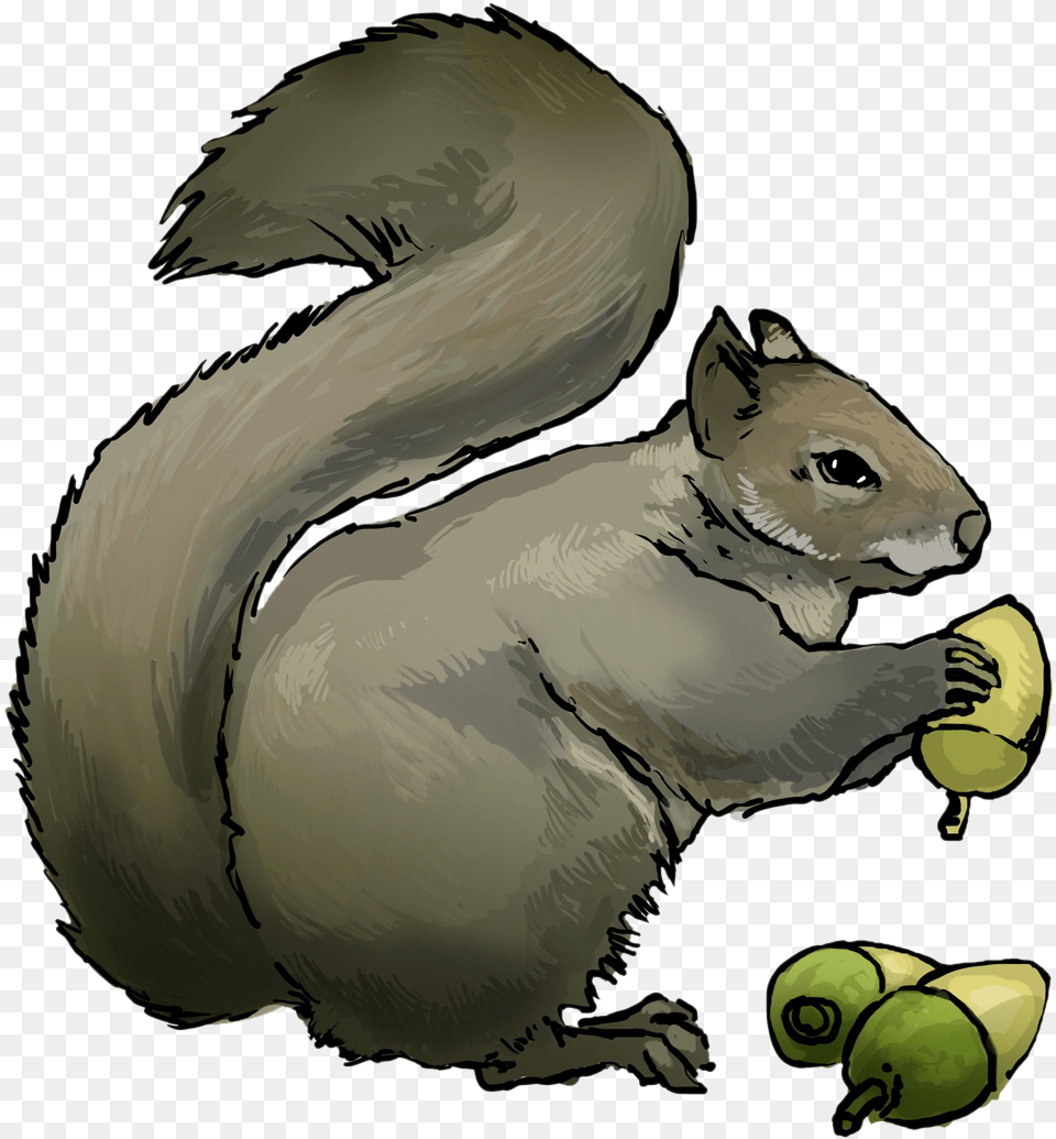 To Use Amp Public Domain Squirrel Clip Art Squirrel Eating Clip Art, Ball, Sport, Tennis, Tennis Ball Free Png