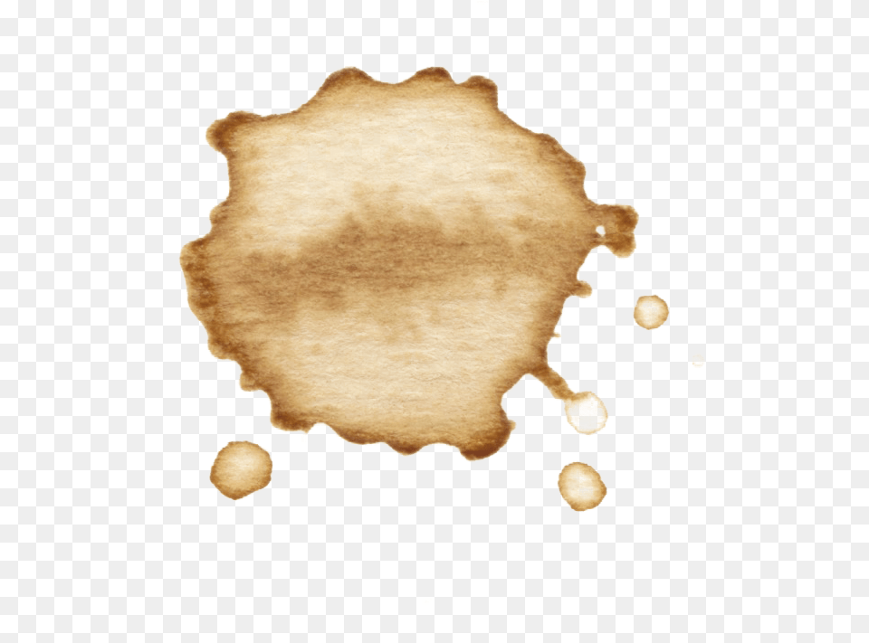 To Use Coffee Stains, Stain, Animal, Bear, Mammal Png