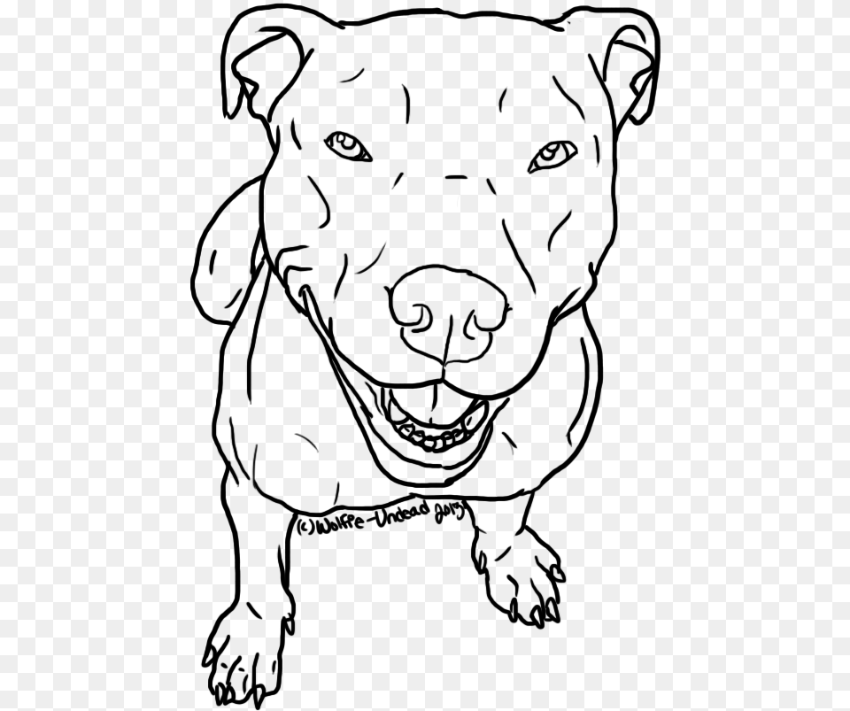 To Use Pit Bull Lineart Please Pitbull Line Art, Gray Png Image