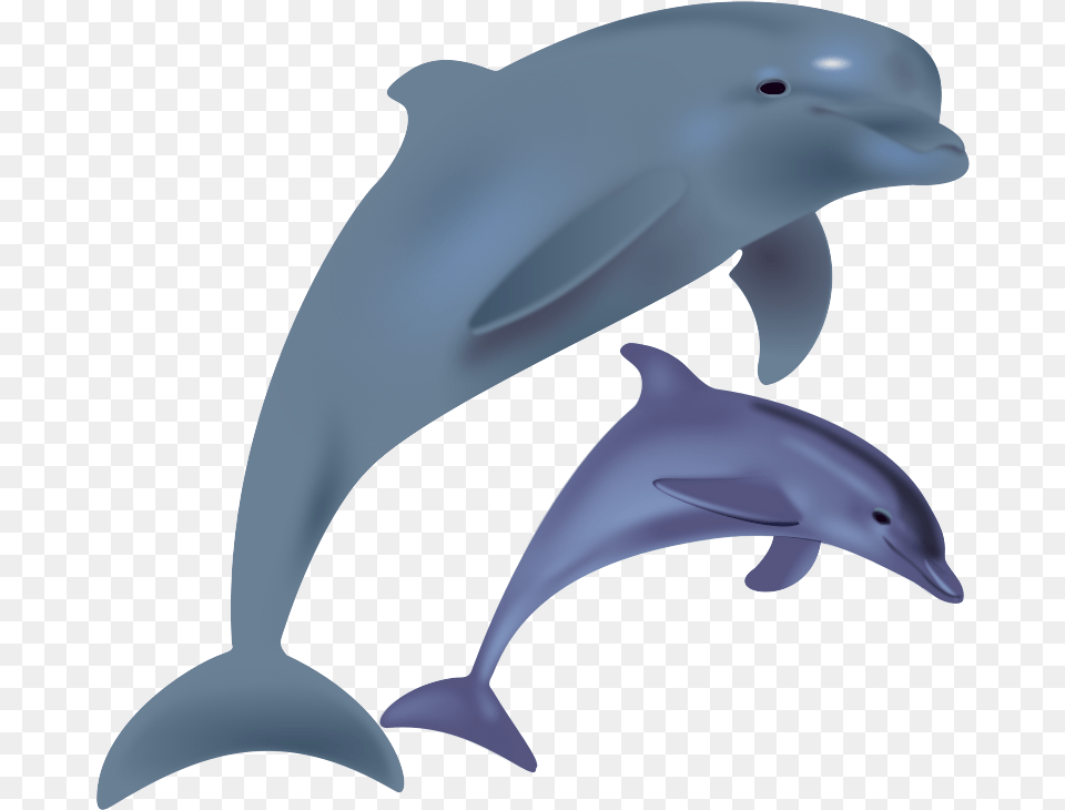 To Use Public Domain Dolphin Clip Art Dolphin Clipart, Animal, Mammal, Sea Life, Fish Png